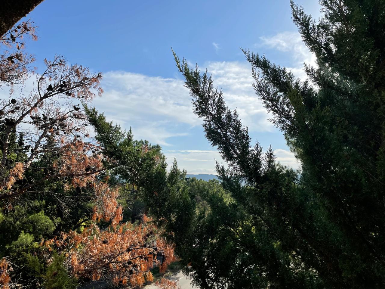 Bureau Aix-en-Provence 110m² Location bureau Aix-en-Provence Bouches-du-Rhône OLBUR2114934 2